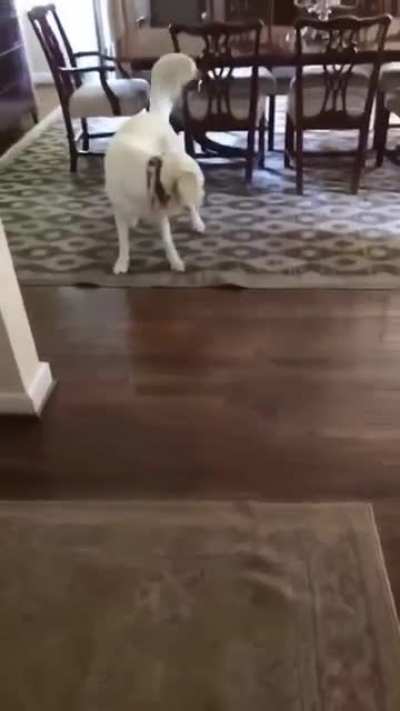 Where'd it go??