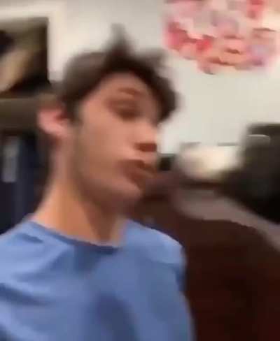 Playing with your dog