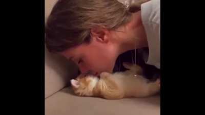 Kedi çok tatlı lan UwU