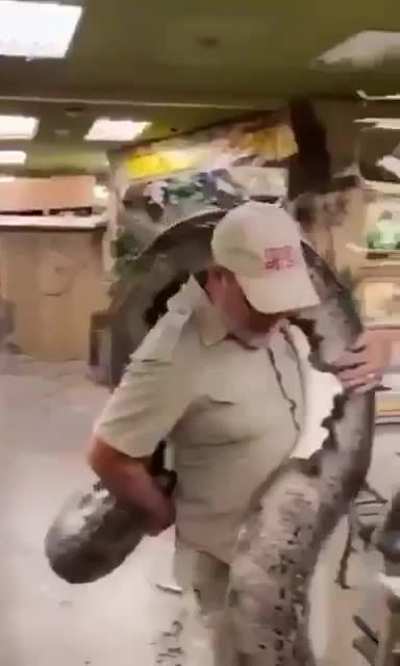 Тузик, мать твою! Сказал же сиди в конуре!