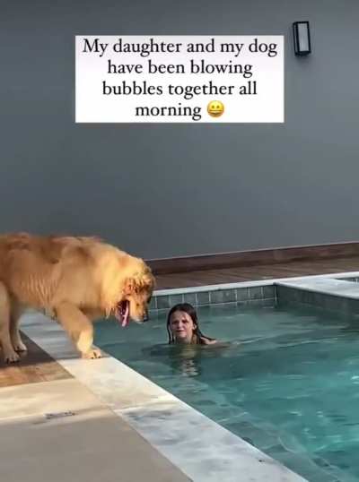 Dog Day Sunday - The Bubbler