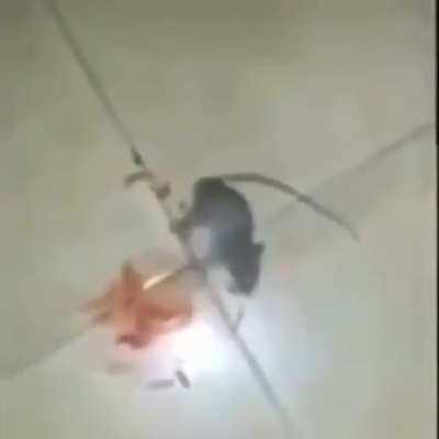 Ojala salir en el MCMLI
