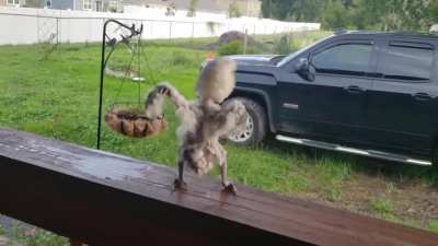 The neighbors must be traumatized