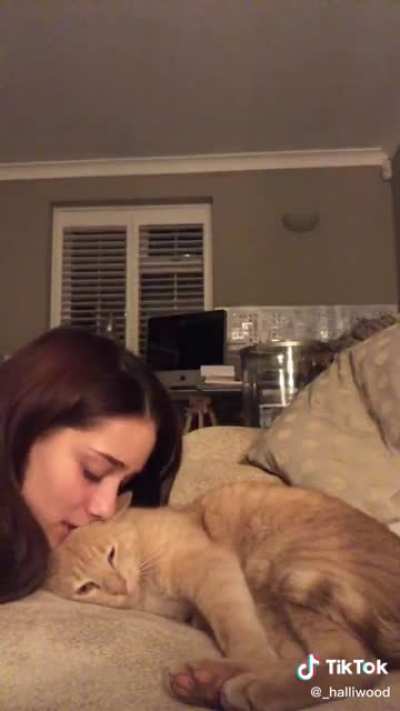 Cats can be so loving