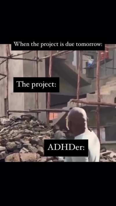 The 