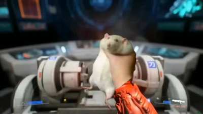 there will always be rat unlike the bitch ass discord