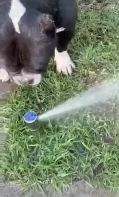 This is next level.