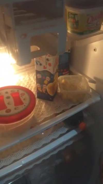 Ô saudade