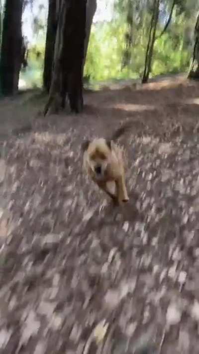 It’s finally Friday