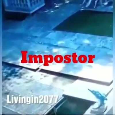 Among us real life