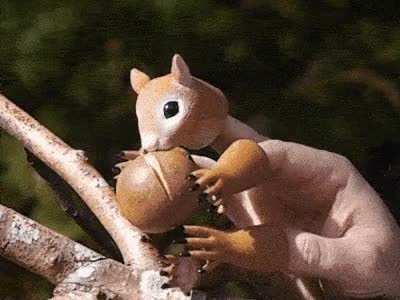 Thanks, I hate squirrels.