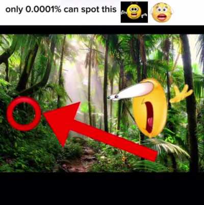 wowww