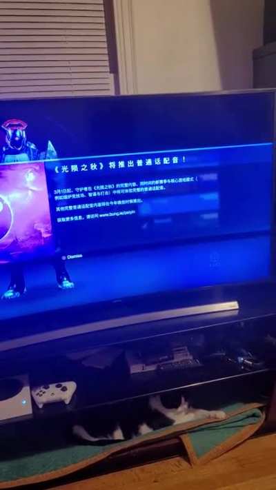 mysterious alert