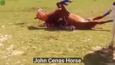 И его зовут Джон Сееее<wbr>енааа<wbr>аа!!!<wbr>!