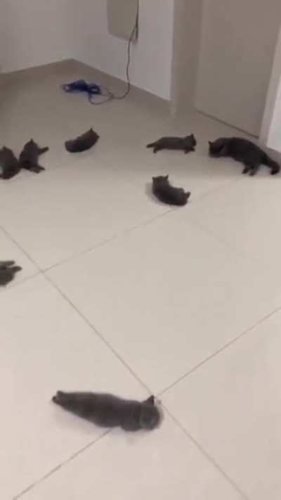 Tiny heat absorbing criminals