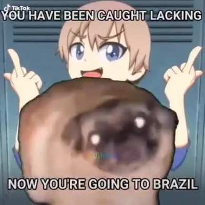 Go to Brazil