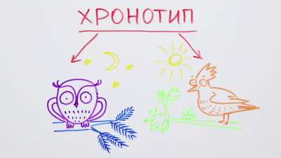 Вы когда-нибудь задумывались: одинаково ли мы видим цвет? — Научпок