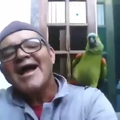 ¡¡A!!