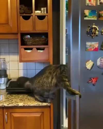 Thief