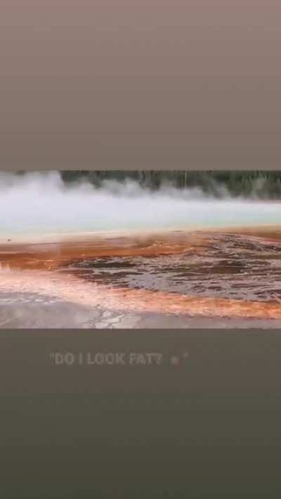 Went to Yellow Stone National Park and captured this funny audio from behind me