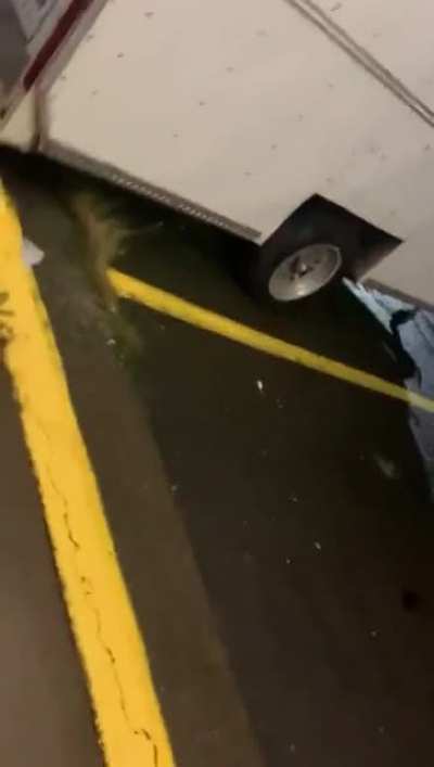 The owner of Dizzy Dean’s Donuts in Eugene, OR dumping cold water on a homeless woman then blaming her for it