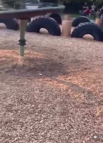 wcgw , when you missed basic physics classes in school