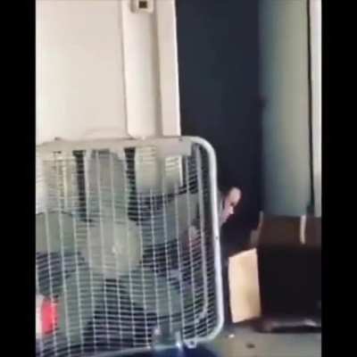 Man almost kills himself flexing for instagram