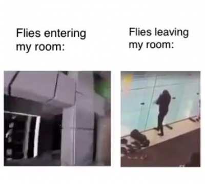 Haha flies go brrrrr