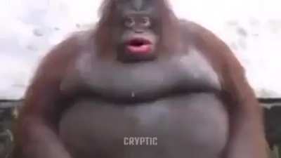 8008135