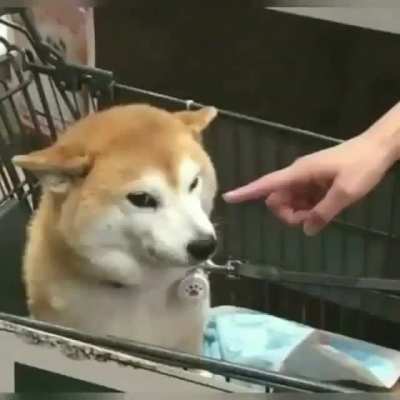 Cute