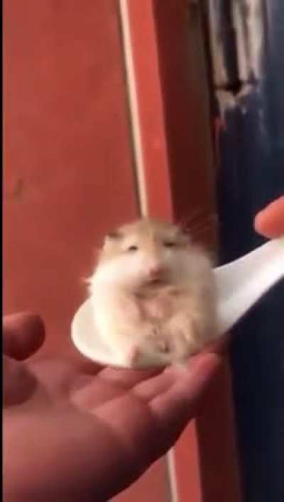 run