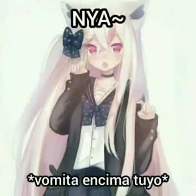 n y a