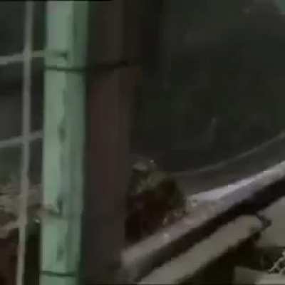 A wild ride.