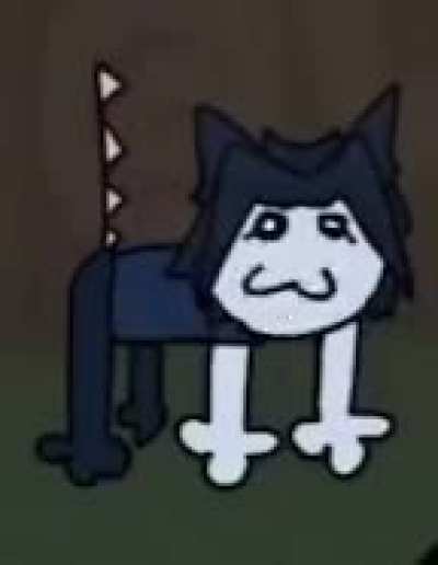 kitty cat