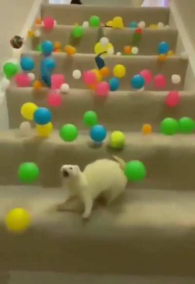 So intense