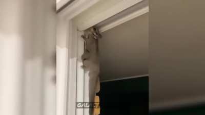 Be free my little friend