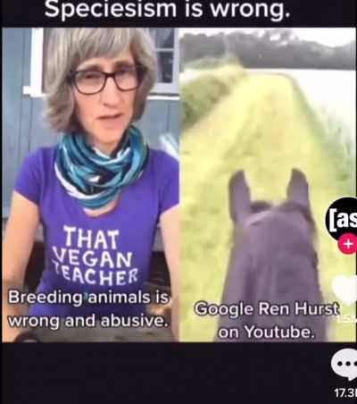 Non-trained horses