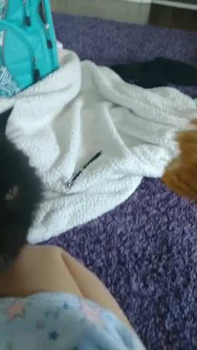 Coco, are you hungry?