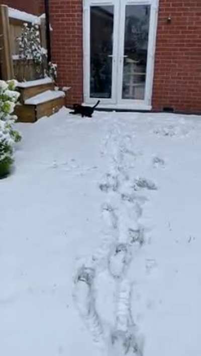 Snow way out