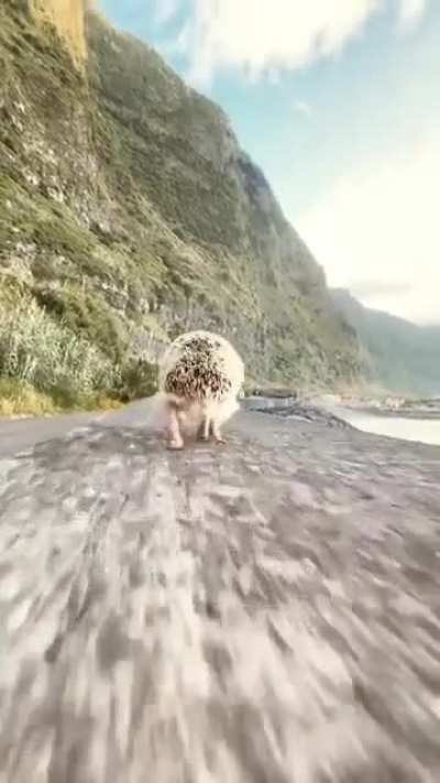 He's going the distance