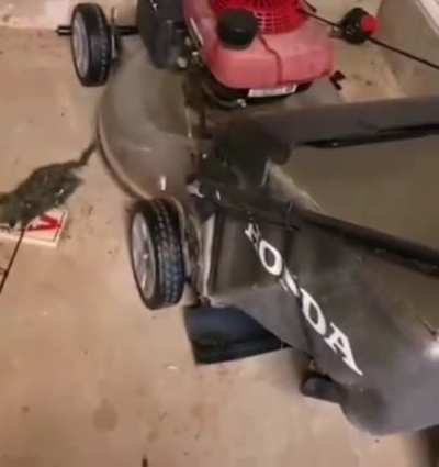 It's not dead...