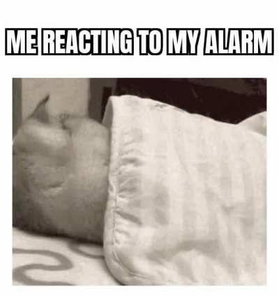 Imma just ignore your entire existence...