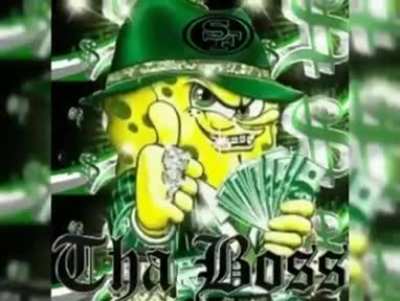 bob cholo