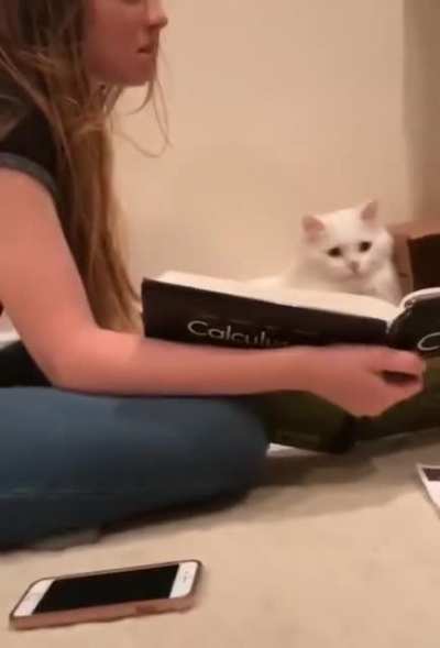 He is trying