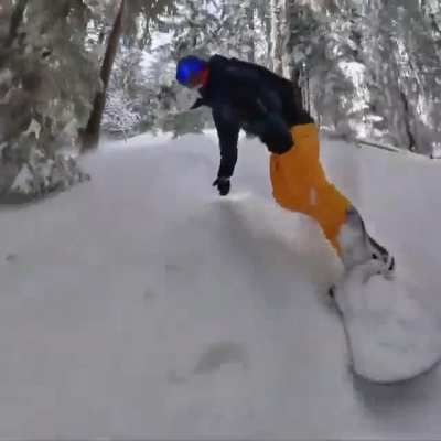 Just snowboarding through the trees...