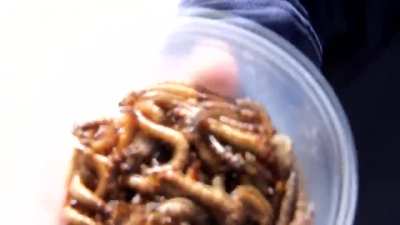 Crushing larvae