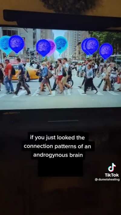 Gender and the brain (from BBC show “Planet Sex”)