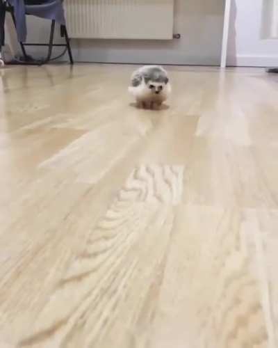 Oh lord he coming