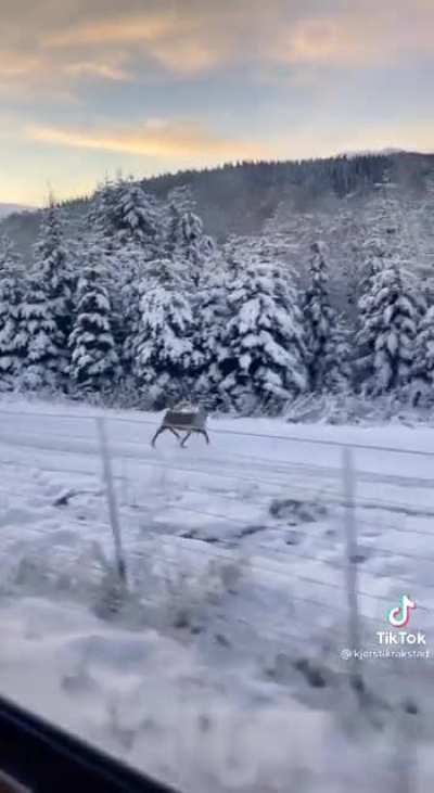 When you're late for the train