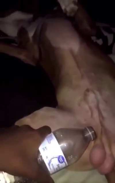 🐶